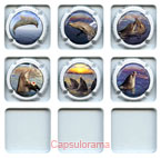 P06F2-31 PATIS André