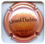 C05G5-76b CANARD DUCHENE