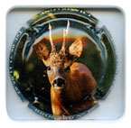 B07G3-842b BARBET René