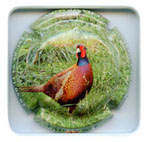 B07G3-842e BARBET René