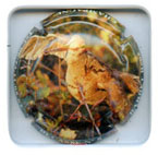 B07G3-842g BARBET René