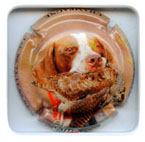 B07G3-842h BARBET René