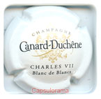 C05G5-76 CANARD DUCHENE