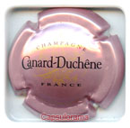 C05G5-75e CANARD DUCHENE