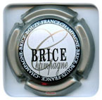 B56D3-15 BRICE