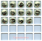 G03G3-03 GARNIER-CAUSIN