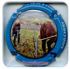 P25D17-04b PIERRE Laurent