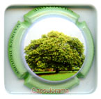 D17A5-67 DEGUISE Maurice