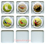 D17A5-73 DEGUISE Maurice