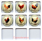 M18A55-02 MARTIN GLOD