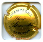A03H45-10 ALEXANDRE Yann