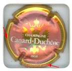 C05B2. CANARD DUCHENE