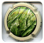 D30C3-07 DESPRET Jean