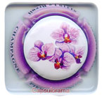 M38A1-226 MIGNON Pierre