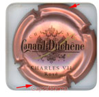 C05F4. CANARD DUCHENE