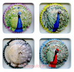 A03D5-10a ADNET Pascal