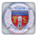 B57E29-100 BRISSON JONCHERE