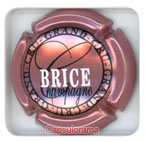 B56D3-18c BRICE