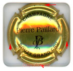 P01H1_ PAILLARD Pierre