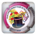 B57E28-99c BRISSON JONCHERE