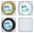 R23F2-13 ROTARY International