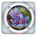 C06C2-14c CARON Frédéric