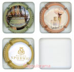 P02B25-13 PAILLEY Sébastien