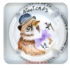 B55E6-nr1 BREUL Patrick