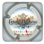 C05F5~ CANARD DUCHENE