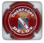 D21D1. DELOT