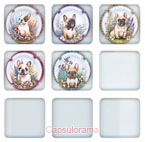 B26C535-13 BIGAR Patrick