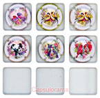 B50C6-01 BOUTILLIER Cécile