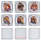 B50C8-13 BOUTILLIER-POISSINET