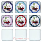 C29E3-25 CHIGNY LES ROSES