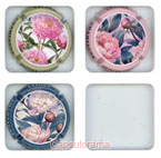 C46D3-30b COLLIN Olivier