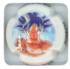 D30E4-36 DESRUETS J.