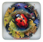 F11F9-12f FONTAINE SALOME