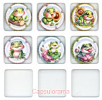 F16C3-11 FRANC Charlotte