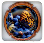 G17G44-10 GOTORBE Cédric