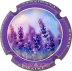 L37D45-35f LEMAIRE Alban