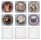 P24A6-10 PICARD Pascal