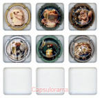 P24A6-11 PICARD Pascal