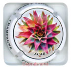 P26B45-14i PINEL et Fils