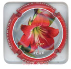 P26B45-14k PINEL et Fils