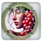 P26D6-16 PION Olivier