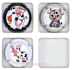 P26E3-12 PIOT Thomas