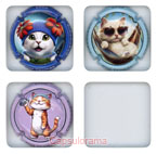 P26E3-15c PIOT Thomas