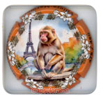 R06A55-15f REMY Stéphane