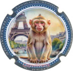 R06A55-15g REMY Stéphane