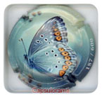 R16B35-18 RIVOT Eugène